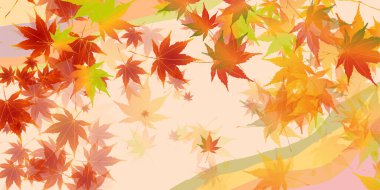 Sonbahar Akçaağaç Ağaç Yaprakları Sonbahar Arkaplanı