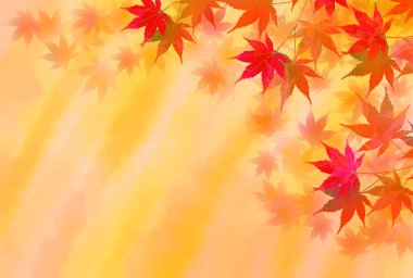 Sonbahar Akçaağaç Ağaç Yaprakları Sonbahar Arkaplanı