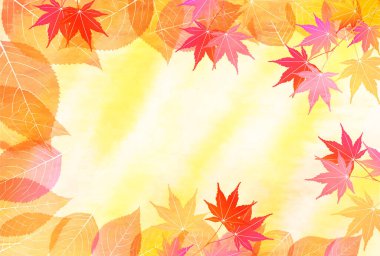 Sonbahar Akçaağaç Ağaç Yaprakları Sonbahar Arkaplanı