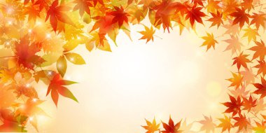 Sonbahar Akçaağaç Ağaç Yaprakları Sonbahar Arkaplanı