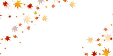 Sonbahar Akçaağaç Ağaç Yaprakları Sonbahar Arkaplanı