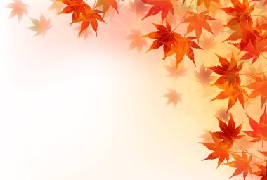 Sonbahar Akçaağaç Ağaç Yaprakları Sonbahar Arkaplanı