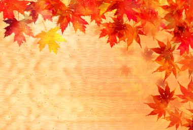 Sonbahar Akçaağaç Ağaç Yaprakları Sonbahar Arkaplanı