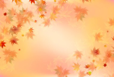 Sonbahar Akçaağaç Ağaç Yaprakları Sonbahar Arkaplanı