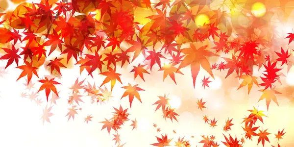 Sonbahar Akçaağaç Ağaç Yaprakları Sonbahar Arkaplanı