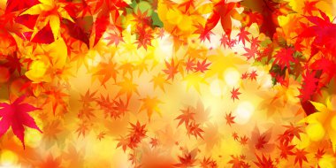 Sonbahar Akçaağaç Ağaç Yaprakları Sonbahar Arkaplanı