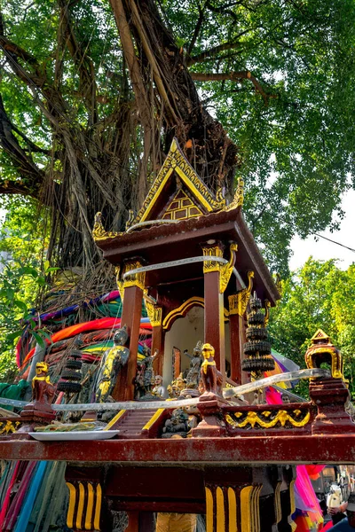 A spirit house with an an old banyan tree behind it. Traditional Thai Miniature house built for guardian spirit to reside. Food and drink are common offerings from Buddhists and worshipers.