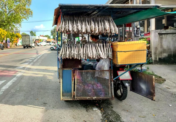泰国春布里 2023年2月12日 骑摩托车的推车销售食品 这是泰国的一种典型的轮式销售食品 一个女人在卖烤鱼 — 图库照片