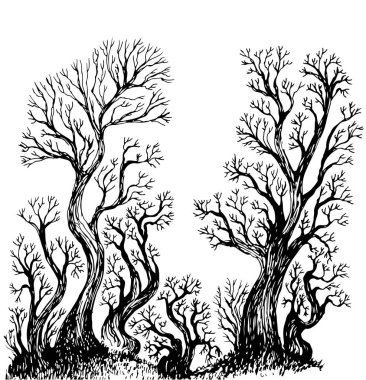 Forest trees with branches sketch style, isolated on white background. Black and white woods background. Vector hand drawn monochrome illustration. clipart