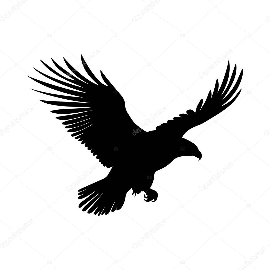 Eagle silhouette bird. Pattern is isolated. Flying and hunting bird for design logo, emblems, wallpaper, background. Vector hand drawn illustration.