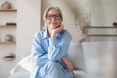 Oturma odasındaki kanepesinde dinlenen mutlu olgun bir kadın. Kıdemli kadın kameraya bakıyor. Mavi gömlekli mutlu kadın portresi gülümsüyor..