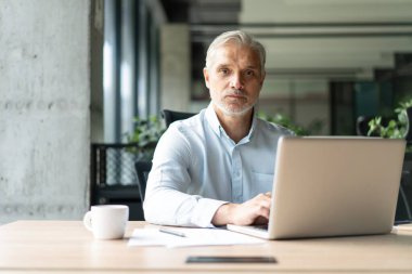 Mutlu Avrupalı iş adamı CEO 'su bilgisayar kullanıyor, daktilo kullanıyor, modern ofiste çalışıyor, çevrimiçi veri pazarı analizi yapıyor, bilgisayar kopyalama alanı olan dizüstü bilgisayara bakarak teknoloji stratejisi planlıyor.