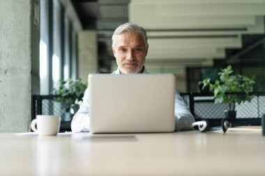 İş yerinde bilgisayar kullanarak kameraya bakan olgun iş adamı. Gülümseyen erkek şirket çalışanı, proje yöneticisi veya girişimci portresi