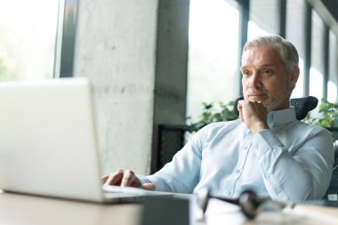 İş yerinde bilgisayar kullanarak kameraya bakan olgun iş adamı. Gülümseyen erkek şirket çalışanı, proje yöneticisi veya girişimci portresi