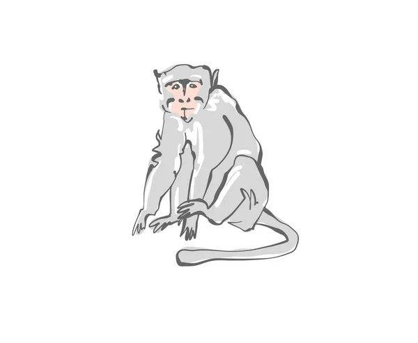 Macaco Cinzento Bali Estilo Plano Ilustração Vetorial —  Vetores de Stock