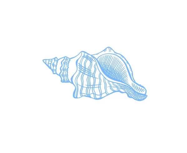 Seashell Sketch Drawing Vector Illustration — Stock Vector