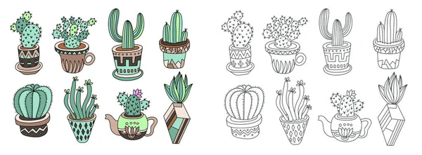 Doodle Sketch Drawing Flat Style House Plants Flowerpots Cacti Vector Vector Graphics