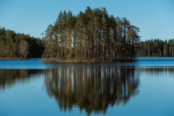 Beautiful Symmetrical Pine Island Reflection Lake — Stock Photo, Image