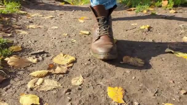 Stylowa Kobieta Spacerująca Jesiennych Liściach Osoba Butach Chodzi Trawie Suchymi — Wideo stockowe