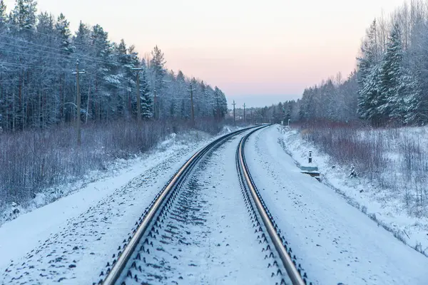 Snowy Frozen Railroad Crepúsculo Inverno Fotos De Bancos De Imagens