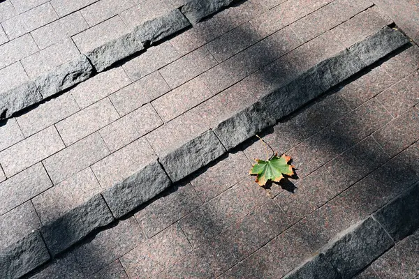 Jesienna Tapeta Liść Klonu Kamiennej Ścieżce Jesienne Tło Tekstura — Zdjęcie stockowe