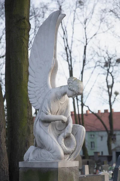 Скульптура Белый Ангел Кладбище Mater Dolori Бытоме — стоковое фото