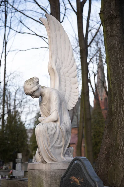 Rzeźba Białego Anioła Cmentarzu Mater Dolorosa Bytomiu — Zdjęcie stockowe