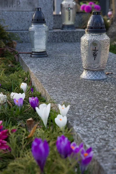 Candles Old Tombstone Fresh Spring Crocuses Growing Flower Bed Tombstone — Stock Photo, Image