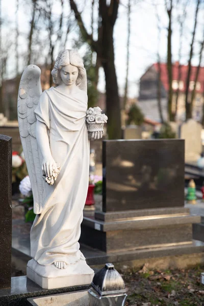 Rzeźba Białego Anioła Cmentarzu Mater Dolorosa Bytomiu Anioł Trzyma Kwiaty — Zdjęcie stockowe