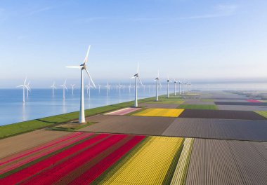 Aerial view of tulip fields and wind turbines in the Noordoostpolder municipality, Flevoland, Netherlands clipart