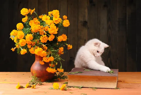 White cat playing with flowers and book on wooden table