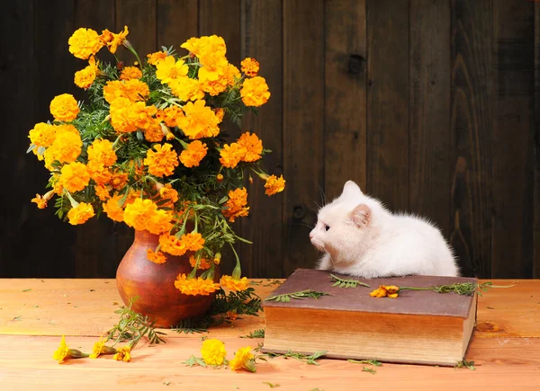 Λευκή Γάτα Που Παίζει Λουλούδια Και Βιβλίο Ξύλινο Τραπέζι Εικόνα Αρχείου