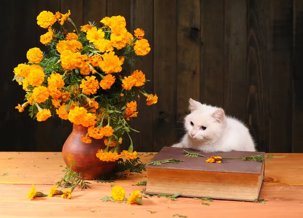 Witte Kat Spelen Met Bloemen Boek Houten Tafel Stockfoto