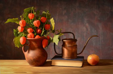 Hayat, Alkekengi seramik bir vazoda, kitap, bakır sürahi, masada.
