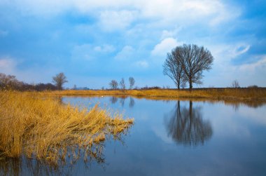 Küçük göl, kurumuş sazlıklar, kışın ağaçlar.
