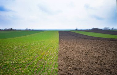 Tarım arazisi, köyde kısmen modellenmiş.
