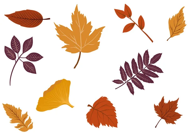 Set Colorful Autumn Leaves Falling Leaf Vector Illustration — Stock Vector