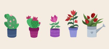 Saksılı ev bitkileri koleksiyonu. Çiçek açar. Vektör illüstrasyonu