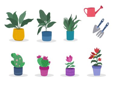 Ev bitkileri saksıya ve bakım aletlerine yerleştirilir. Vektör çizimi. Vektör illüstrasyonu