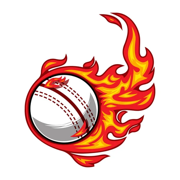 Cricket Palla Fuoco Logo Silhouette Logo Icone Del Design Grafico — Vettoriale Stock