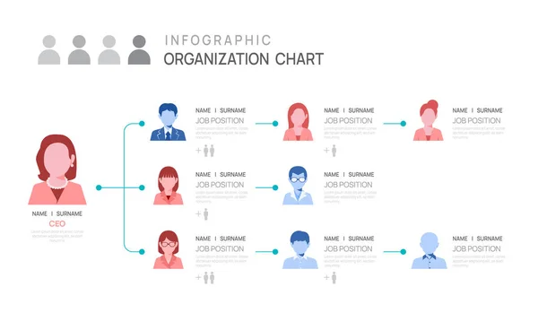 Infografische Template Voor Organisatie Grafiek Met Business Avatar Pictogrammen Vectorinfographic — Stockvector
