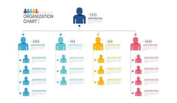 Infographic Template Organization Chart Business People Icons Vektorová Infografie Pro — Stockový vektor