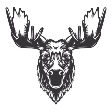 Boynuzlu geyik kafası tasarımı. Çiftlik hayvanı. İneklerin logoları ya da simgeleri. vektör illüstrasyonu