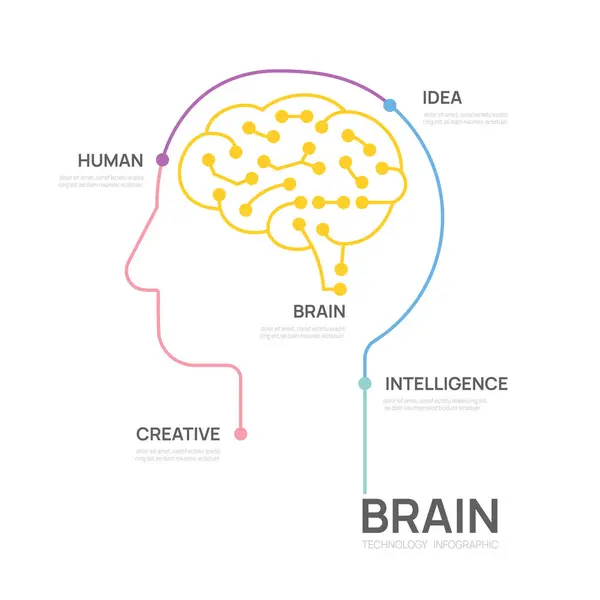 Devre Beyin Konsepti Bilgi Teknolojisi Şablonu Sunum Vektör Bilgi Grafikleri Vektör Grafikler