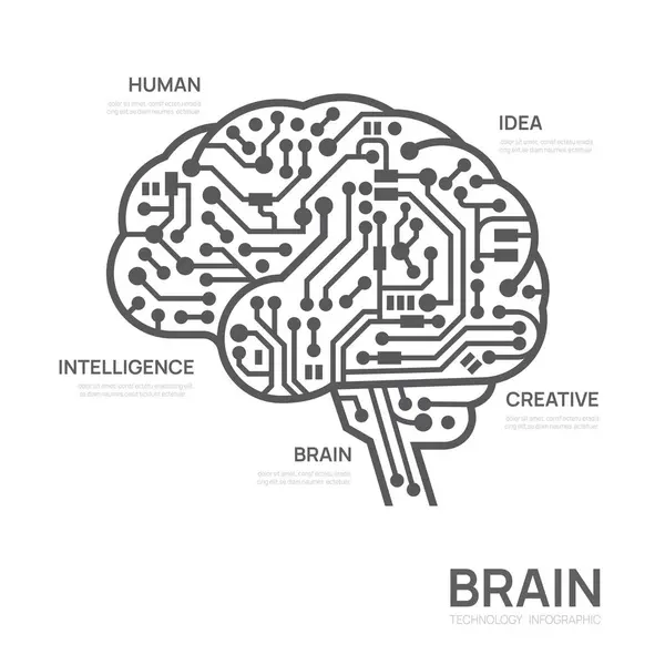 Schaltung Gehirn Konzept Infograph Technologie Vorlage Präsentation Vektor Infografik Vektorgrafiken