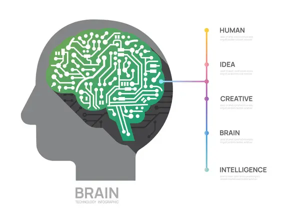 Схема Концепции Мозга Инфографика Технологии Представление Векторной Инфографики — стоковый вектор