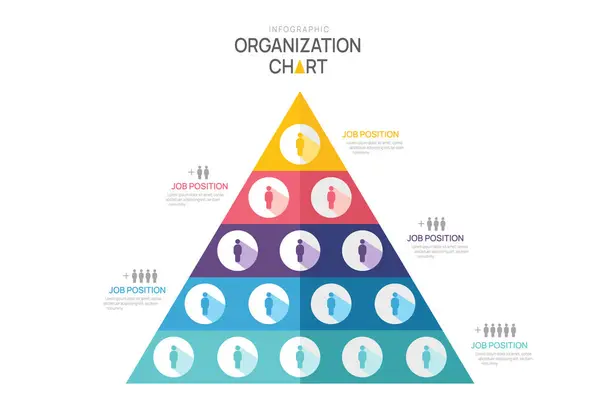 Infografická Šablona Pro Organizační Diagram Pyramidy Ikonami Vedoucího Týmu Vektorová Stock Vektory