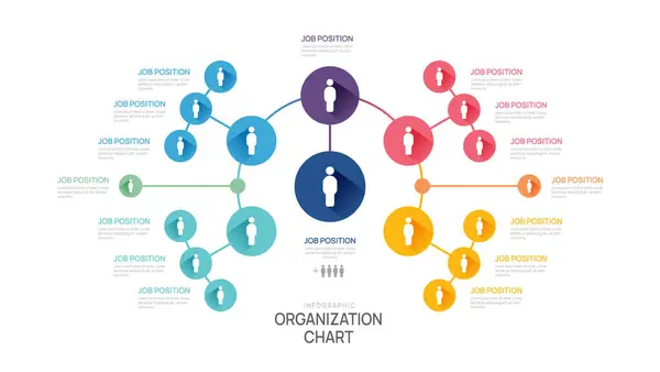 Infographic Template Organization Chart Business Avatar Icons Vektorová Infografie Pro Royalty Free Stock Ilustrace