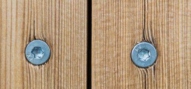 Stainless steel self-tapping wood screws in a wall of natural larch planks. Closeup of split wooden texture from boards with metal fasteners with round countersunk torx head. Building exterior detail. clipart