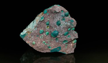 Yansıması olan siyah bir zemin üzerinde Melaphyre volkanik yanardağ kayası. Küçük yeşil amigdüllü vesiküler bazalt ve kuzeydoğu Çekoslovakya 'daki Nova Paka yakınlarındaki mineral taşlarının yakınları..
